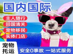 南阳姜营航空快递国际宠物托运 【国